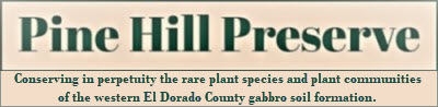 Pine Hill Preserve logo with tagline - onserving in perpetuity the rare plant species and plant communities of the western El Dorado County gabbro soil formation